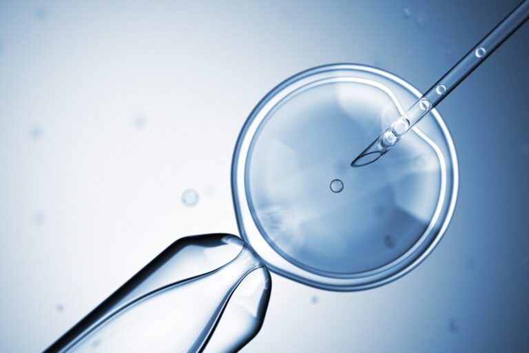 FIV ou Insemination : laquelle choisir si on va en Tunisie pour une PMA